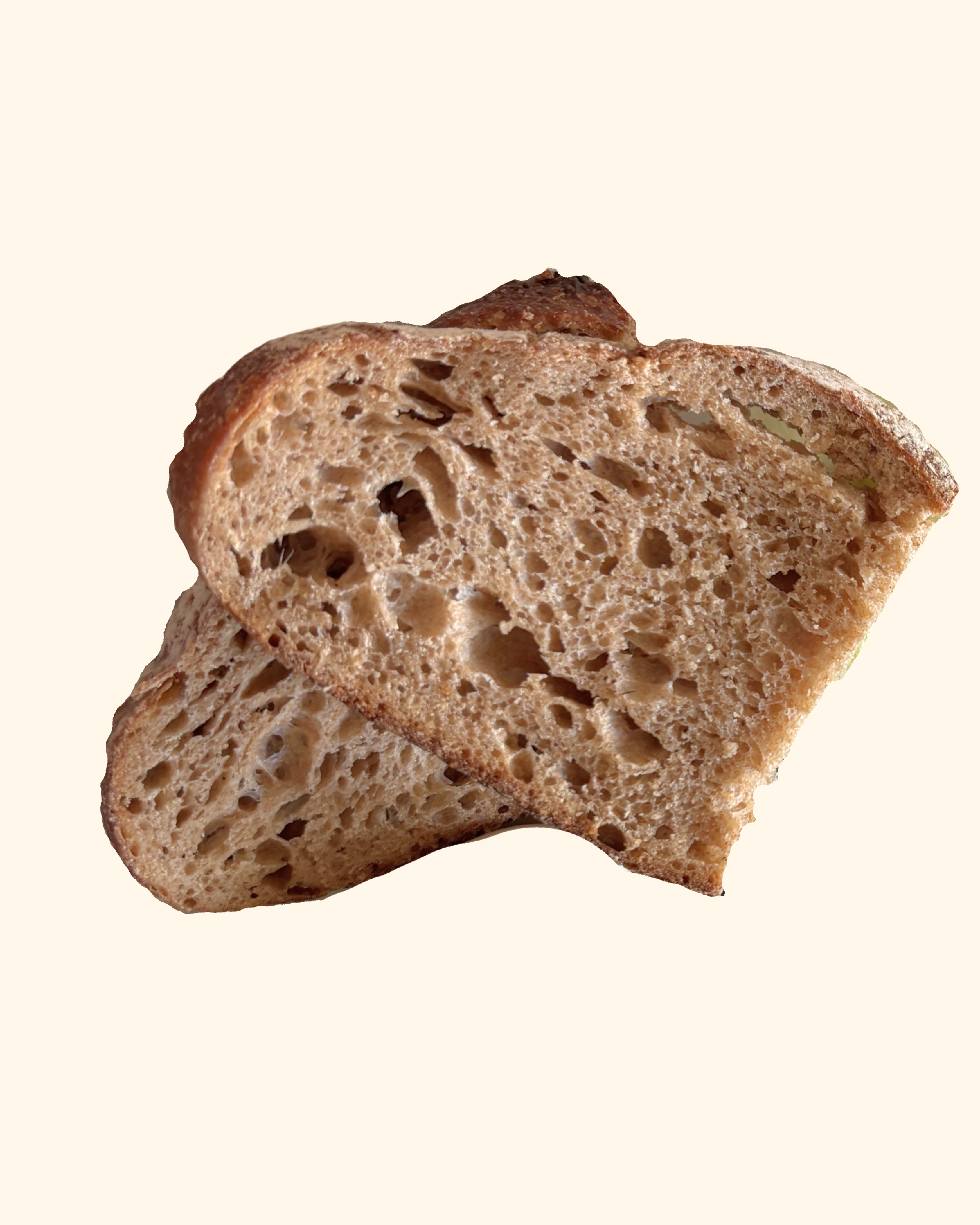 Whole Wheat Sourdough Bread