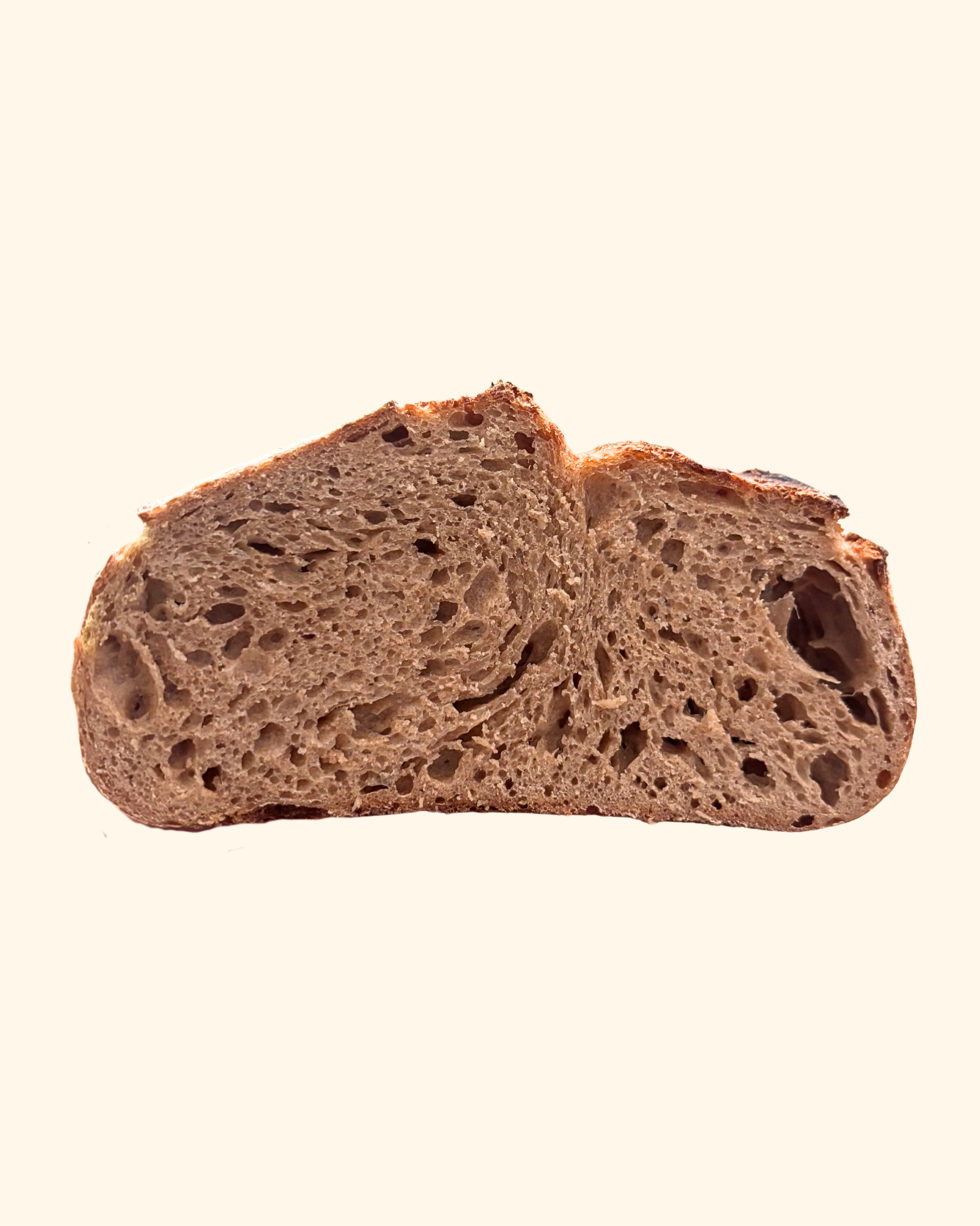 Whole Wheat Sourdough Bread